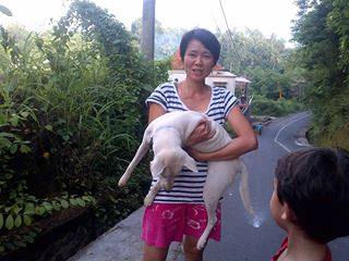 Bali Dog Rescue - Fenny